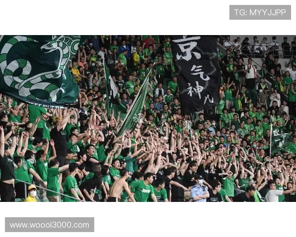 连国安都赢不了球迷愤怒呼声